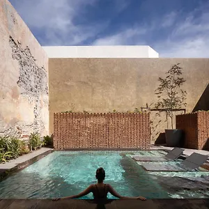 Ta De Diseno 5* Queretaro